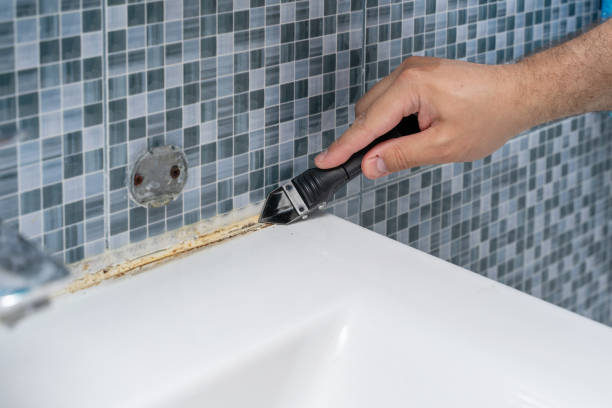 Best Mold Cleaning Services  in Brooklyn, WI