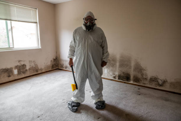 Best Certified Mold Removal  in Brooklyn, WI